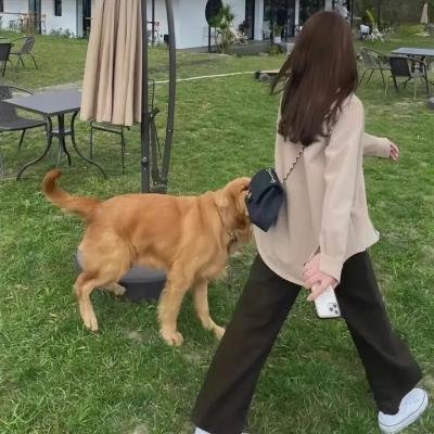 附身实验